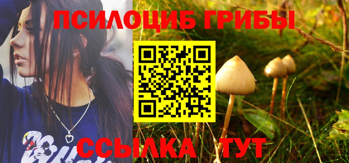 Галлюциногенные грибы мухоморы Дюртюли