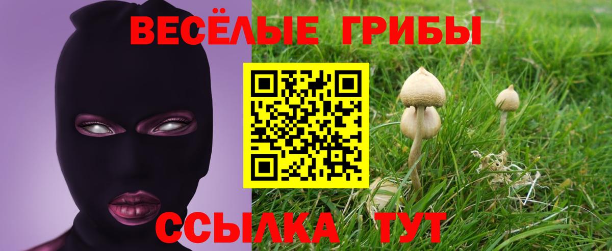 Дюртюли  Галлюциногенные грибы Psilocybine cubensis  Галлюциногенные грибы Psilocybe  Вход с VPN 